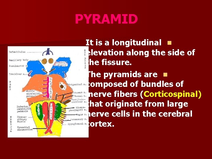 PYRAMID It is a longitudinal n elevation along the side of the fissure. The