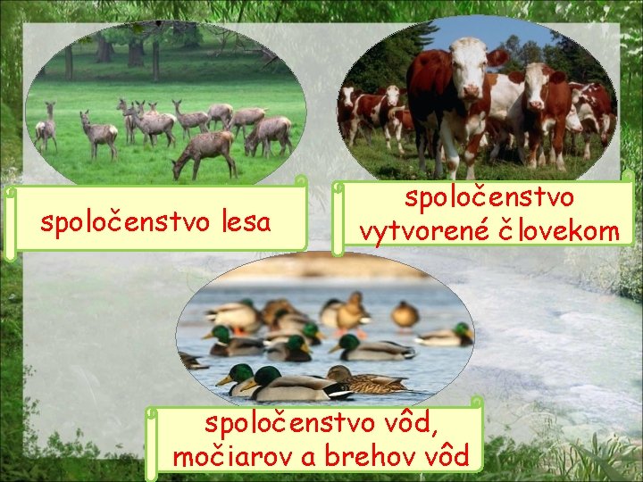 spoločenstvo lesa spoločenstvo vytvorené človekom spoločenstvo vôd, močiarov a brehov vôd 