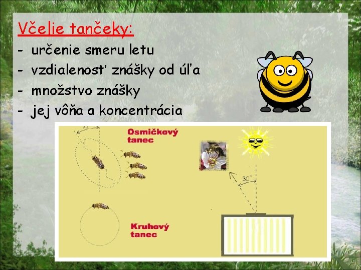 Včelie tančeky: - určenie smeru letu vzdialenosť znášky od úľa množstvo znášky jej vôňa