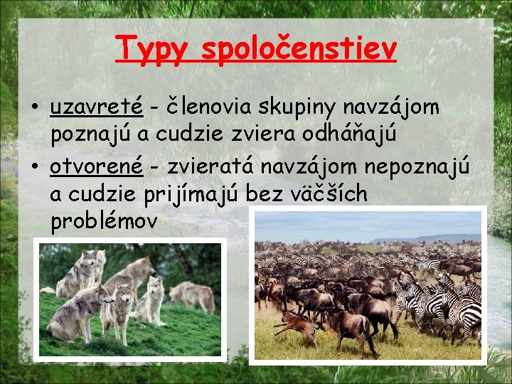 Typy spoločenstiev • uzavreté - členovia skupiny navzájom poznajú a cudzie zviera odháňajú •