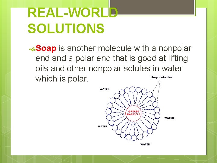 REAL-WORLD SOLUTIONS Soap is another molecule with a nonpolar end a polar end that