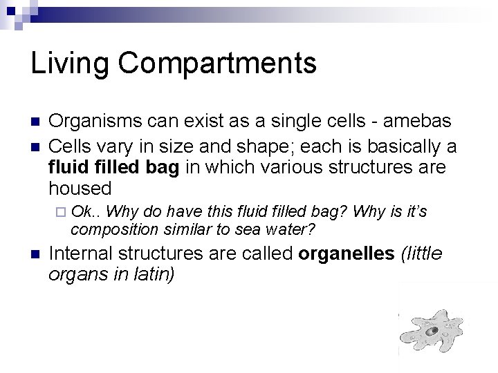 Living Compartments n n Organisms can exist as a single cells - amebas Cells