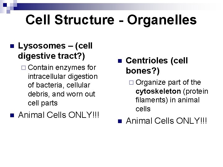 Cell Structure - Organelles n Lysosomes – (cell digestive tract? ) ¨ Contain enzymes