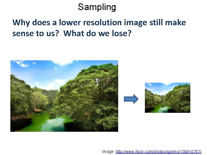 Sampling Why does a lower resolution image still make sense to us? What do