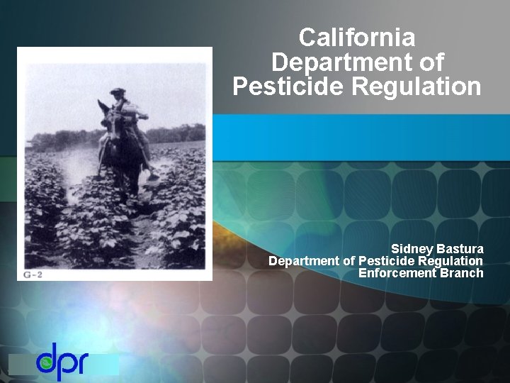 California Department of Pesticide Regulation Sidney Bastura Department of Pesticide Regulation Enforcement Branch 
