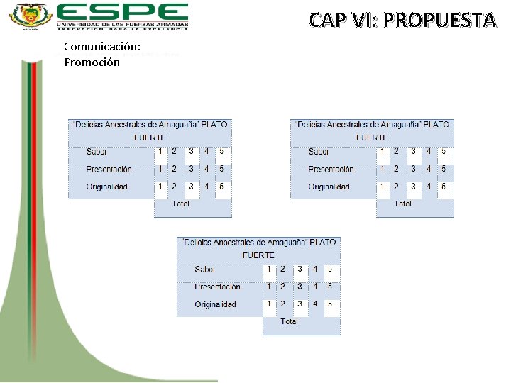 CAP VI: PROPUESTA Comunicación: Promoción 