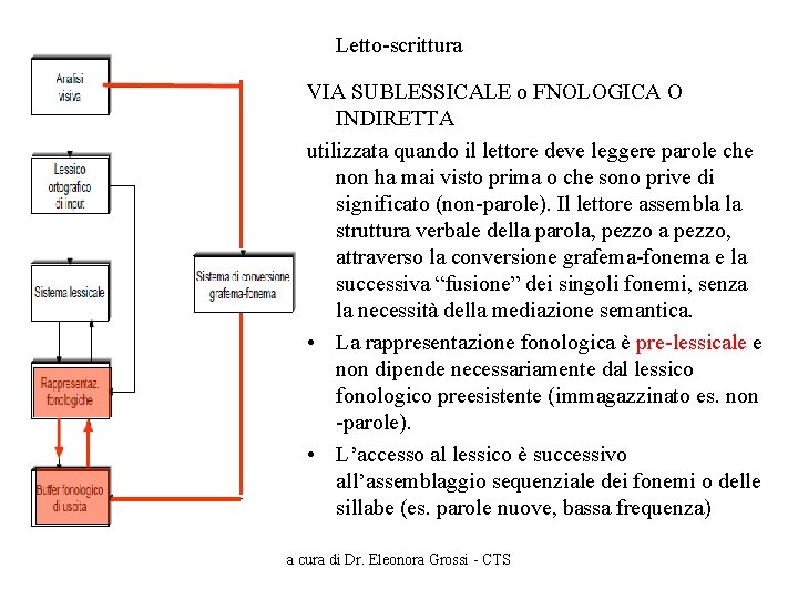 Letto-scrittura VIA SUBLESSICALE o FNOLOGICA O INDIRETTA utilizzata quando il lettore deve leggere parole