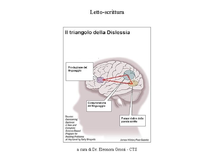 Letto-scrittura a cura di Dr. Eleonora Grossi - CTS 