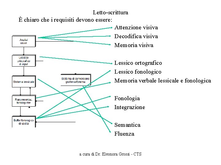 Letto-scrittura È chiaro che i requisiti devono essere: Attenzione visiva Decodifica visiva Memoria visiva
