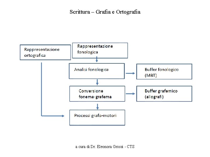 Scrittura – Grafia e Ortografia a cura di Dr. Eleonora Grossi - CTS 