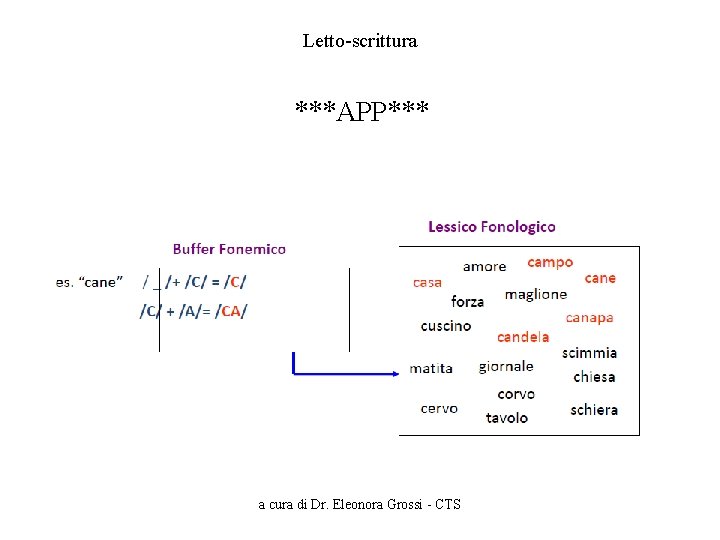 Letto-scrittura ***APP*** a cura di Dr. Eleonora Grossi - CTS 