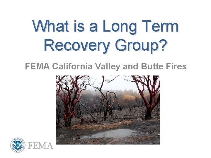 What is a Long Term Recovery Group? FEMA California Valley and Butte Fires 
