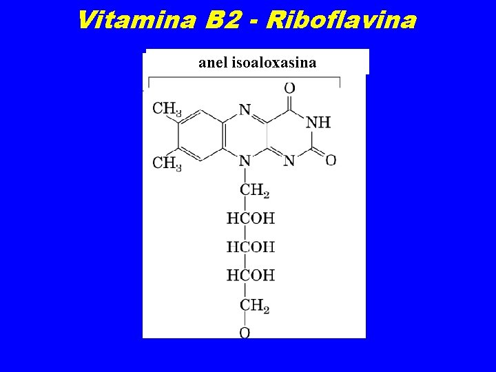 Vitamina B 2 - Riboflavina anel isoaloxasina 