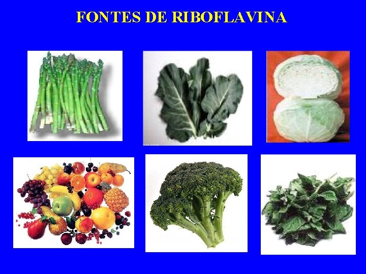 FONTES DE RIBOFLAVINA 