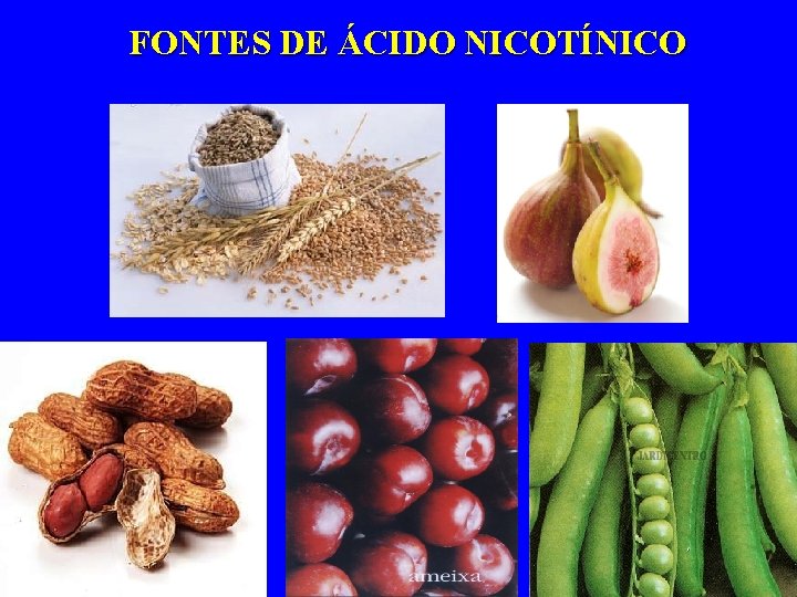 FONTES DE ÁCIDO NICOTÍNICO 