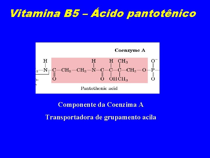 Vitamina B 5 – Ácido pantotênico Componente da Coenzima A Transportadora de grupamento acila