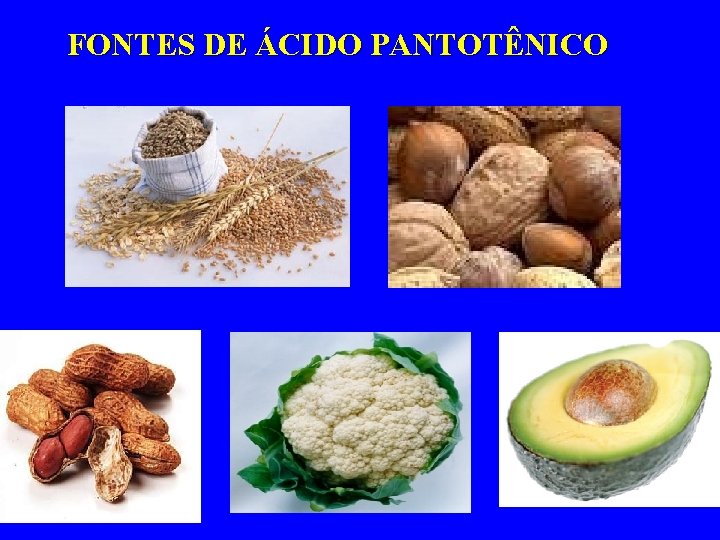 FONTES DE ÁCIDO PANTOTÊNICO 