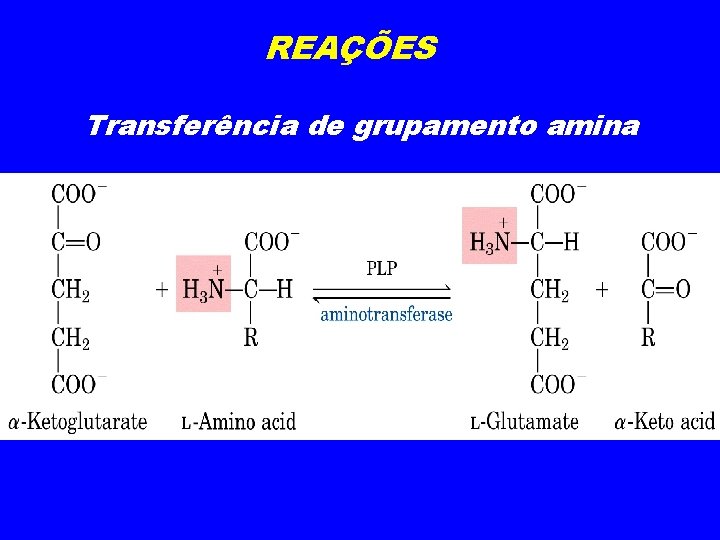 REAÇÕES Transferência de grupamento amina 