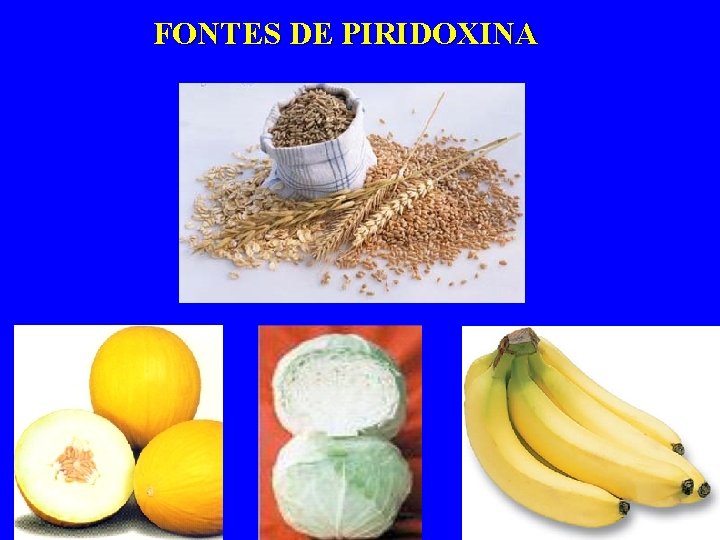 FONTES DE PIRIDOXINA 