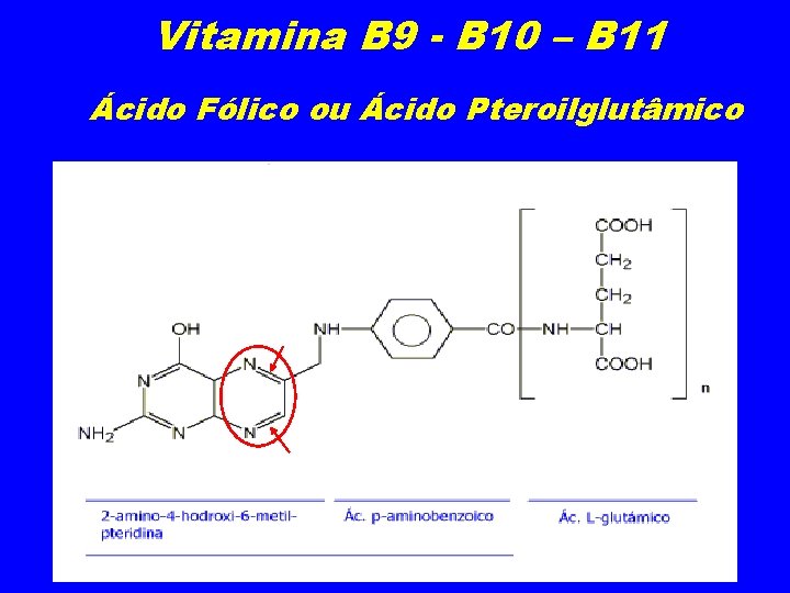 Vitamina B 9 - B 10 – B 11 Ácido Fólico ou Ácido Pteroilglutâmico