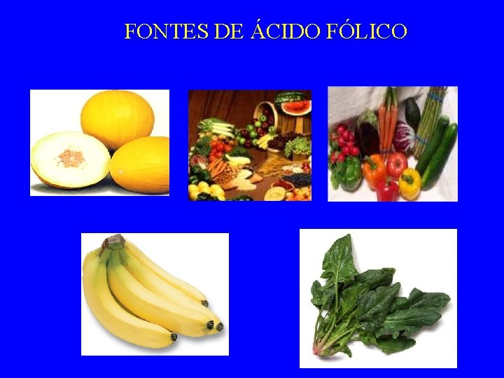 FONTES DE ÁCIDO FÓLICO 