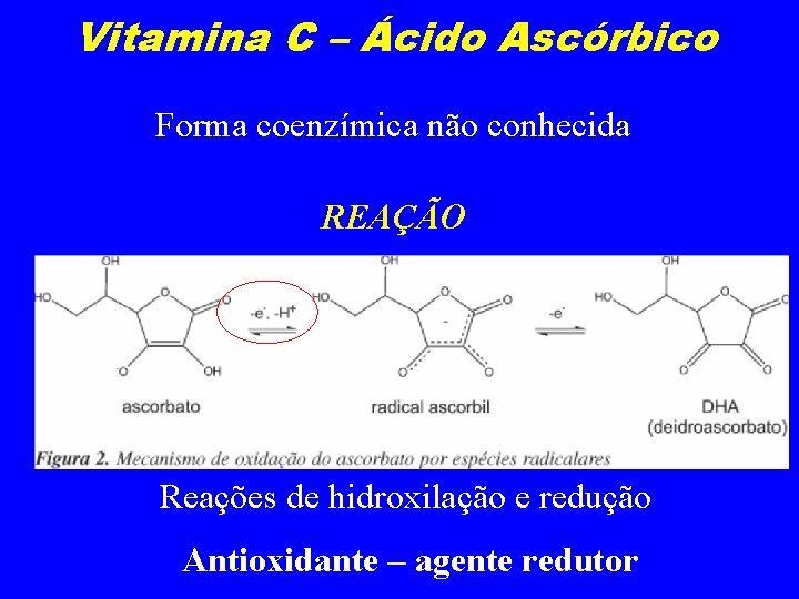 Vitamina C – Ácido Ascórbico Forma coenzímica não conhecida REAÇÃO Reações de hidroxilação e