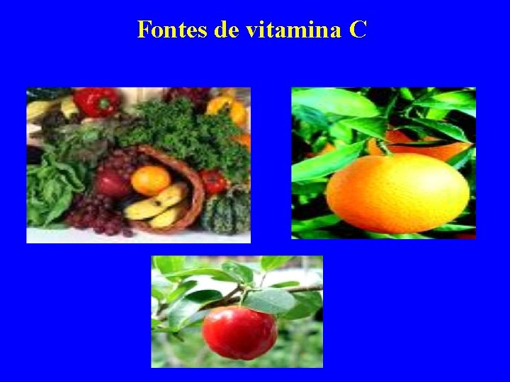 Fontes de vitamina C 