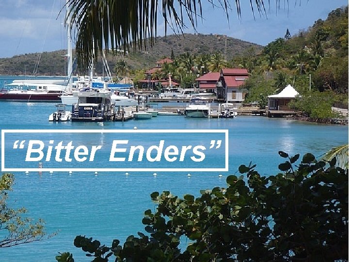“Bitter Enders” 