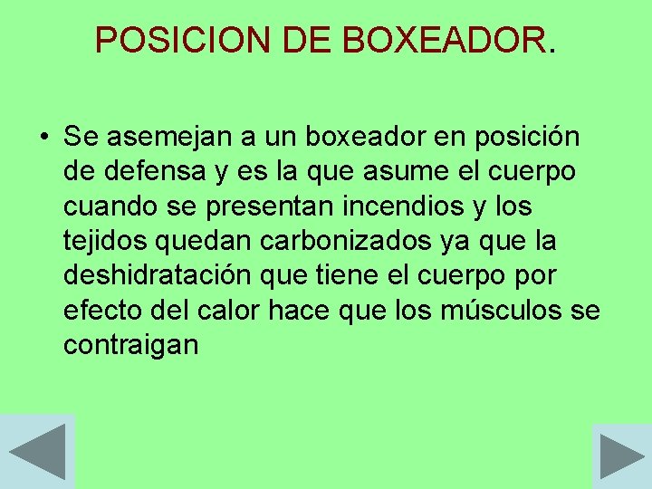 POSICION DE BOXEADOR. • Se asemejan a un boxeador en posición de defensa y