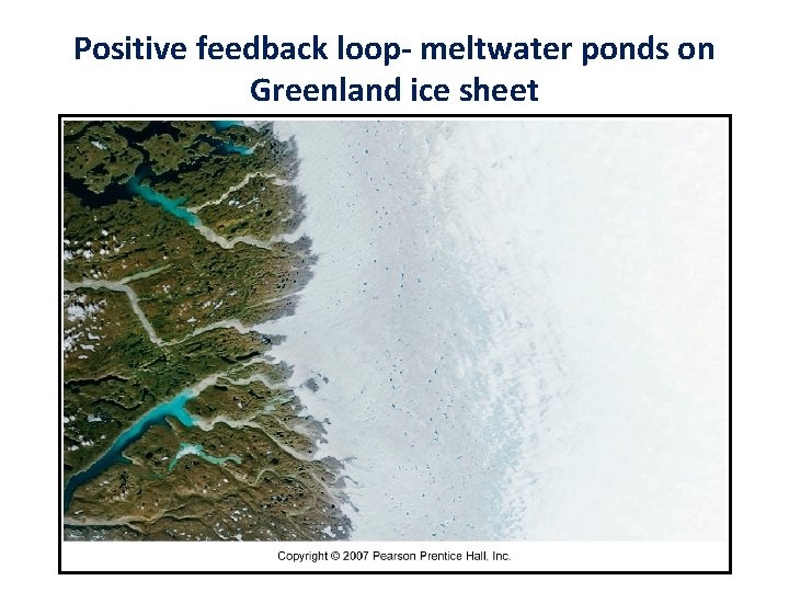 Positive feedback loop- meltwater ponds on Greenland ice sheet 