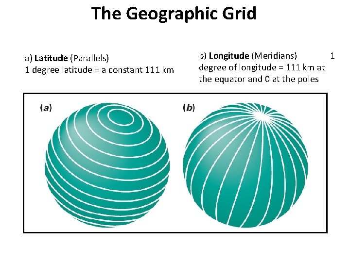 The Geographic Grid a) Latitude (Parallels) 1 degree latitude = a constant 111 km