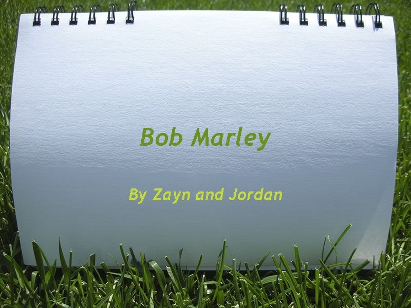 Bob Marley By Zayn and Jordan 