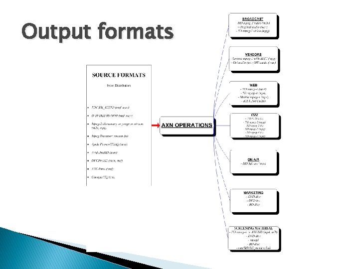 Output formats 
