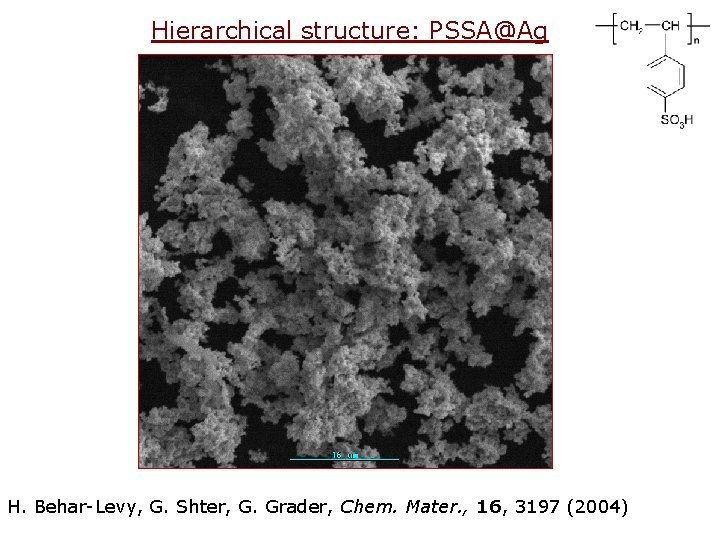 Hierarchical structure: PSSA@Ag H. Behar-Levy, G. Shter, G. Grader, Chem. Mater. , 16, 3197