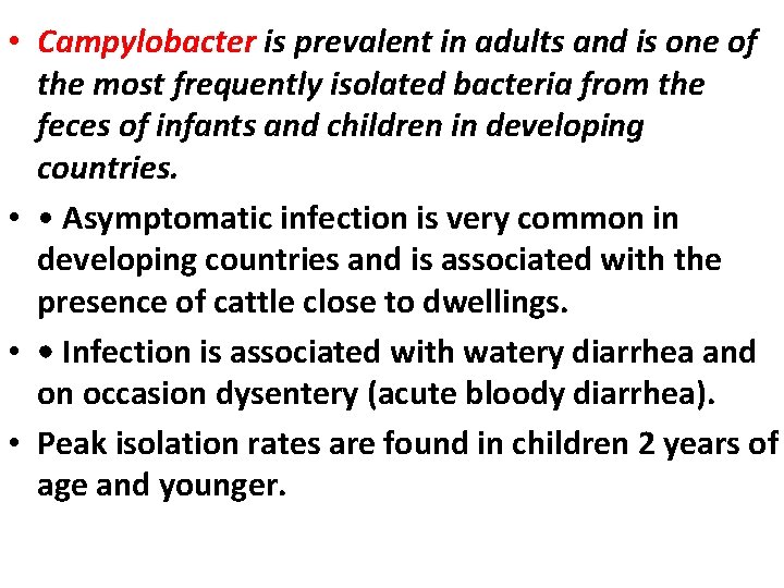  • Campylobacter is prevalent in adults and is one of the most frequently