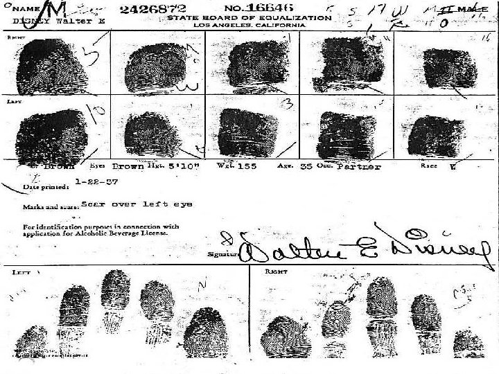 Copyright © 2003, Peter Bocchino - Legacy of Truth® All rights reserved worldwide. 