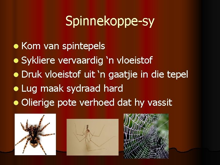 Spinnekoppe-sy l Kom van spintepels l Sykliere vervaardig ‘n vloeistof l Druk vloeistof uit