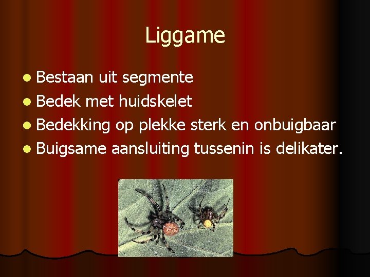 Liggame l Bestaan uit segmente l Bedek met huidskelet l Bedekking op plekke sterk