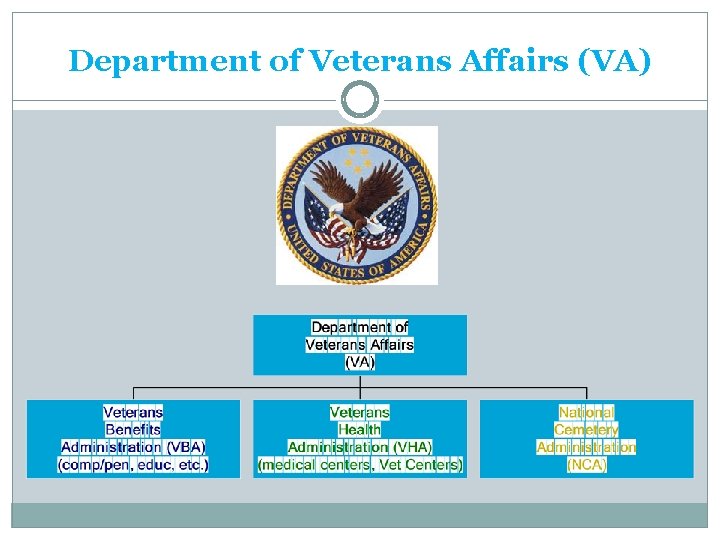 Department of Veterans Affairs (VA) 