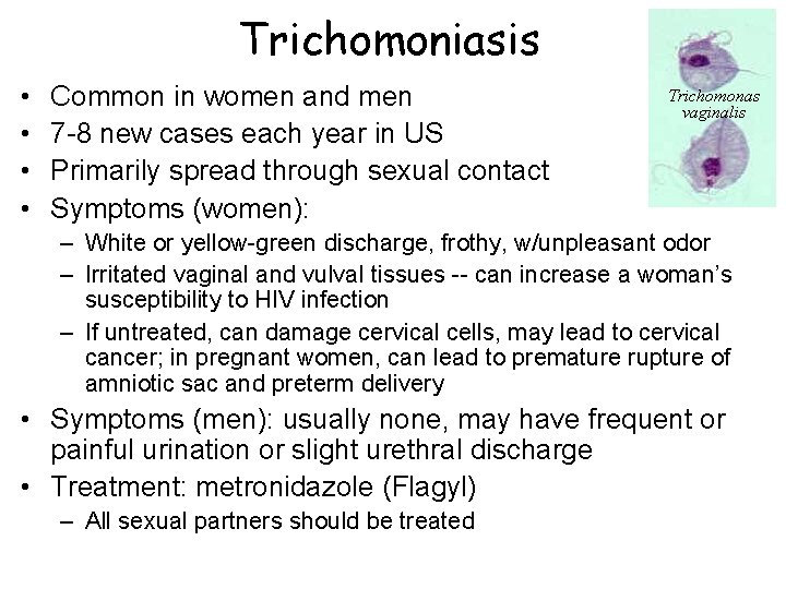 Trichomoniasis • • Common in women and men 7 -8 new cases each year