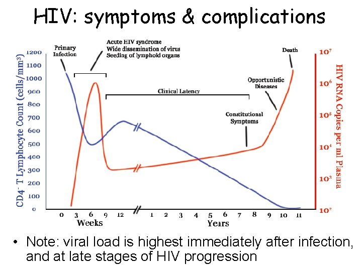 HIV: symptoms & complications • Note: viral load is highest immediately after infection, and