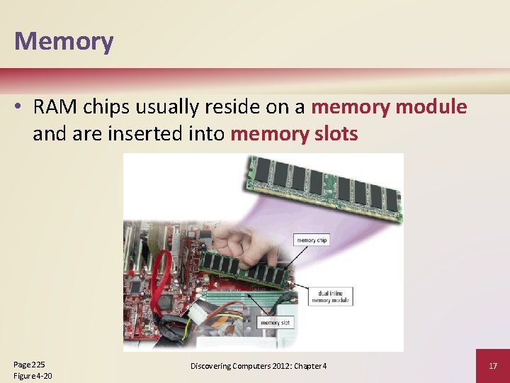 Memory • RAM chips usually reside on a memory module and are inserted into