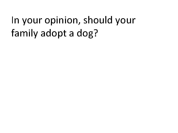 In your opinion, should your family adopt a dog? 