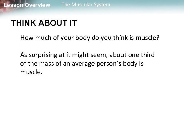 Lesson Overview The Muscular System THINK ABOUT IT How much of your body do Lesson Overview The Muscular System THINK ABOUT IT How much of your body do