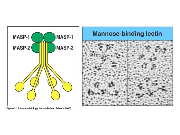 Figure 2 -24 