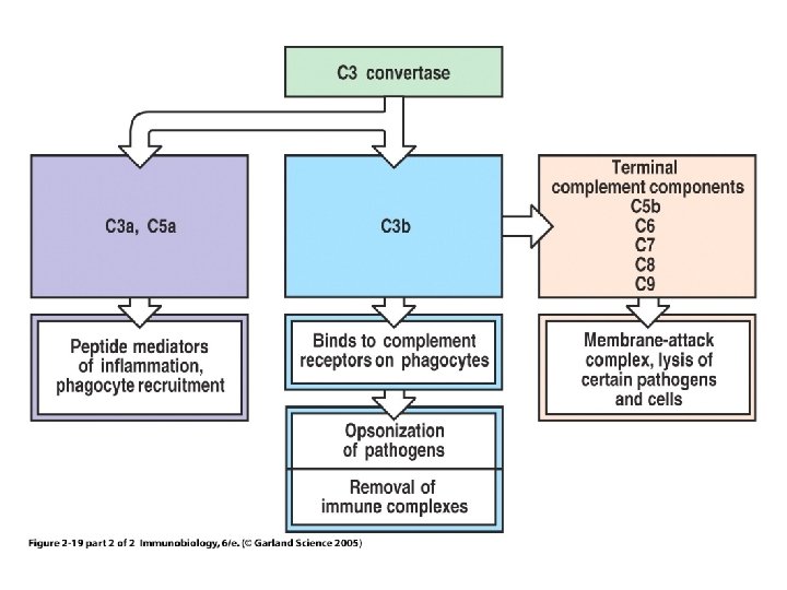 Figure 2 -19 part 2 of 2 