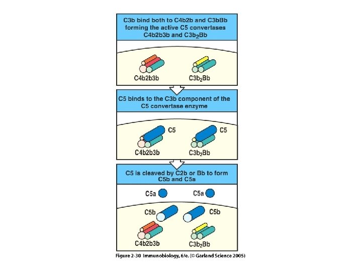 Figure 2 -30 