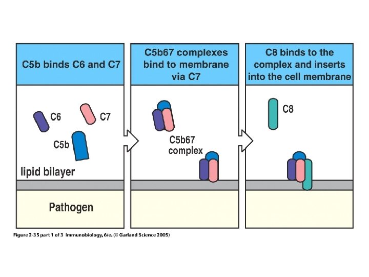 Figure 2 -35 part 1 of 3 