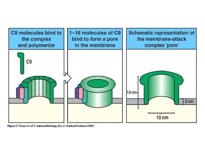 Figure 2 -35 part 2 of 3 