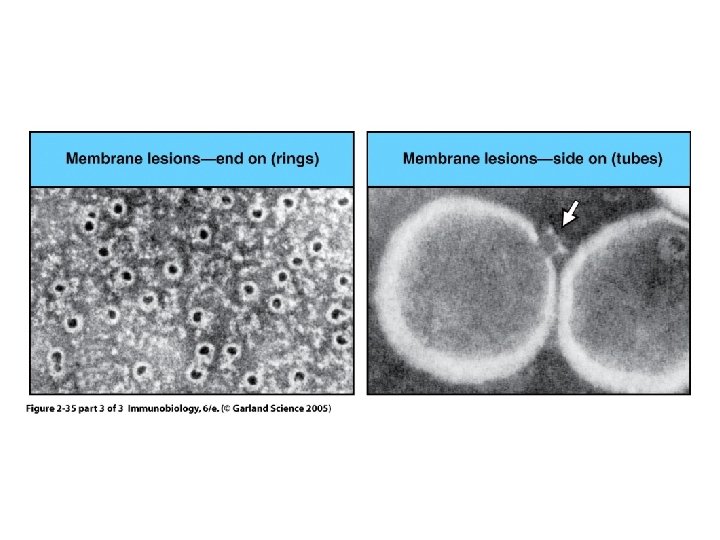 Figure 2 -35 part 3 of 3 